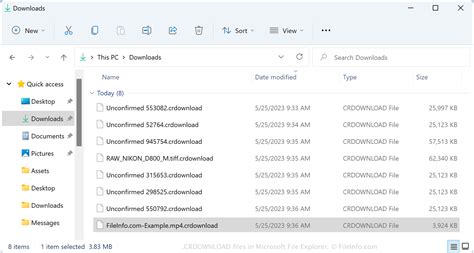 A .crdownload file is a temporary folder that stores the items that haven't finished downloading yet. It is usually generated by browsers like Google Chrome, Chromium, or Microsoft Edge. You can delete it if …